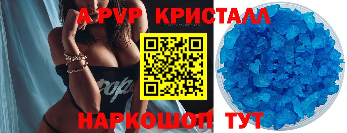 A-PVP СК Сегежа