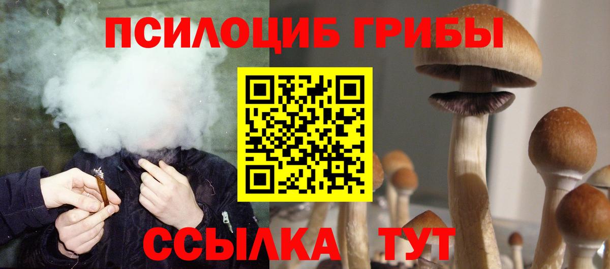 Псилоцибиновые грибы GOLDEN TEACHER Сегежа