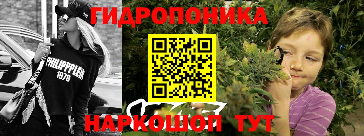 Канабис Bruce Banner  Вход с VPN  Сегежа  Канабис планчик 